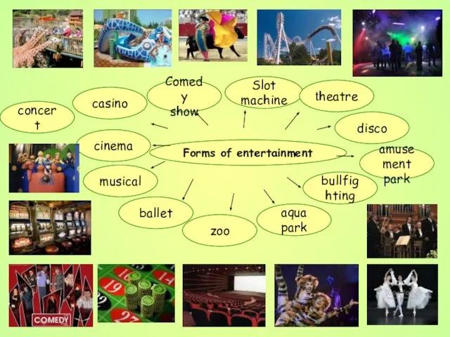 Forms of entertainment amusement park bullfighting disco aqua park zoo ballet musical