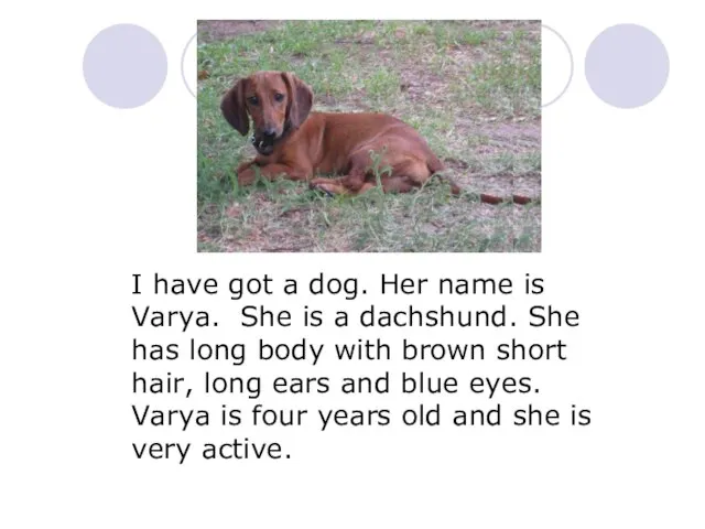 I have got a dog. Her name is Varya. She is a