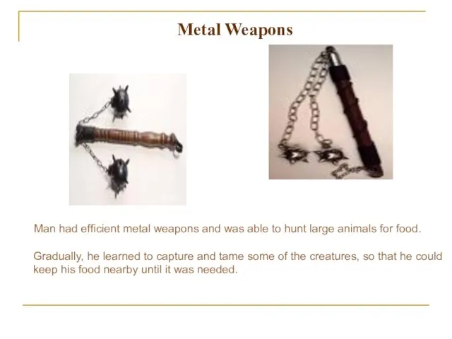 Metal Weapons Man had efficient metal weapons and was able to hunt