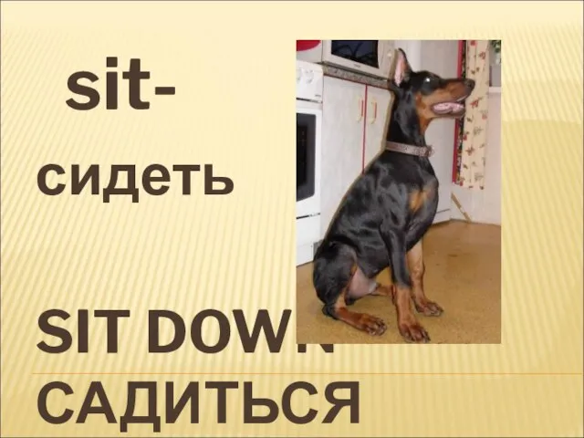 SIT DOWN САДИТЬСЯ sit- сидеть