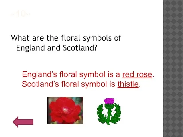 «10» What are the floral symbols of England and Scotland? England’s floral