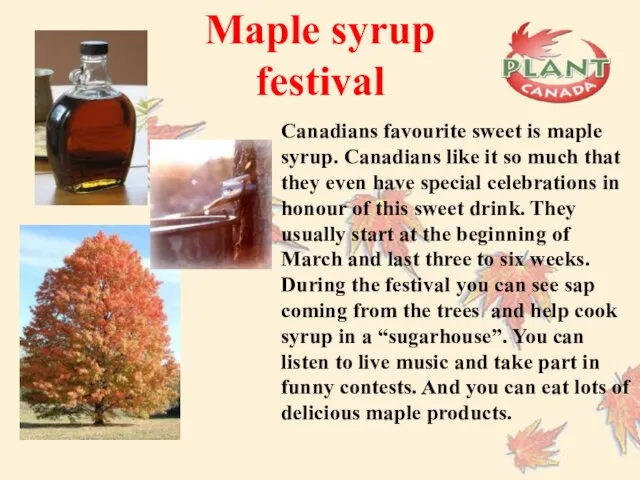 Maple syrup festival Canadians favourite sweet is maple syrup. Canadians like it