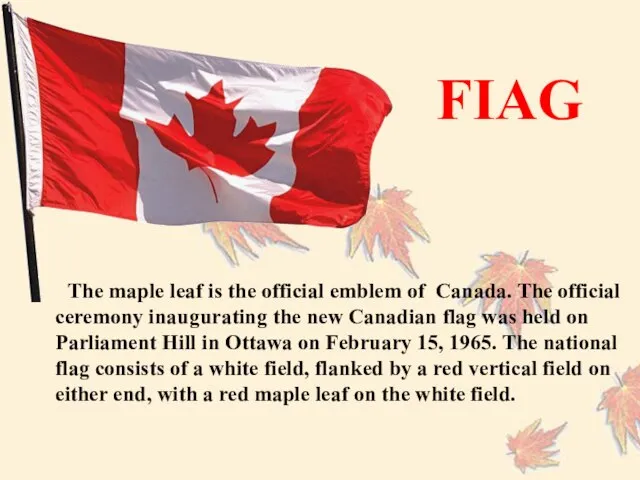 FIAG The maple leaf is the official emblem of Canada. The official