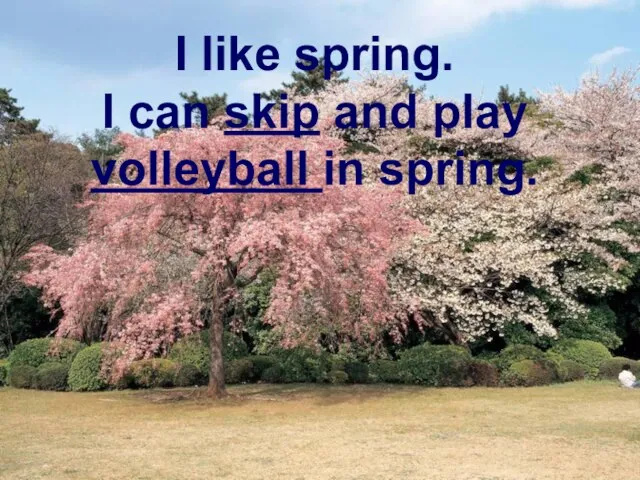 I like spring. I can skip and play volleyball in spring.