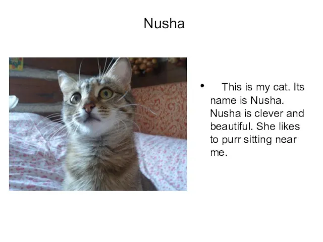 Nusha This is my cat. Its name is Nusha. Nusha is clever