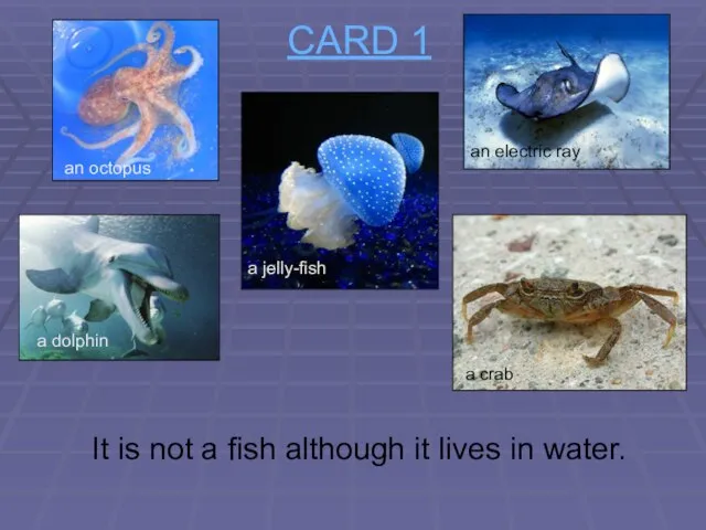 CARD 1 It is not a fish although it lives in water.