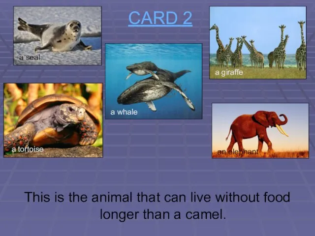 CARD 2 This is the animal that can live without food longer
