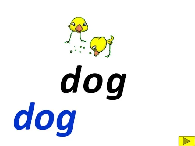 d g o dog