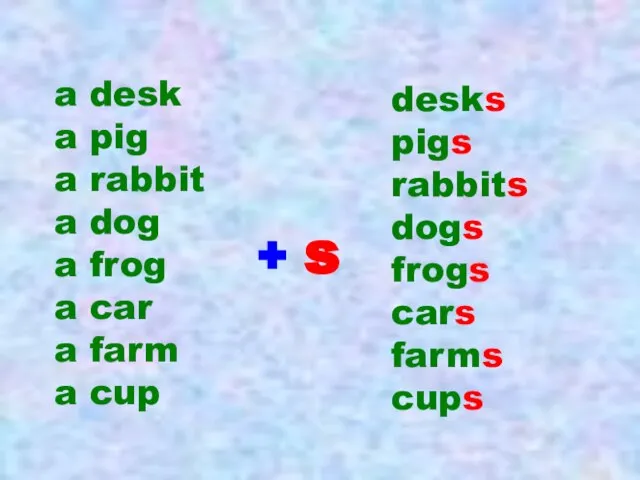 a desk a pig a rabbit a dog a frog a car