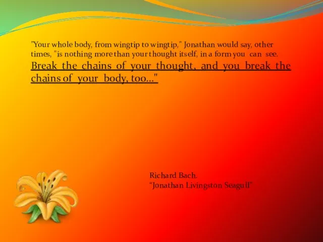"Your whole body, from wingtip to wingtip," Jonathan would say, other times,