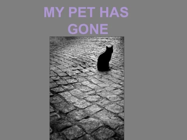 MY PET HAS GONE AWAY