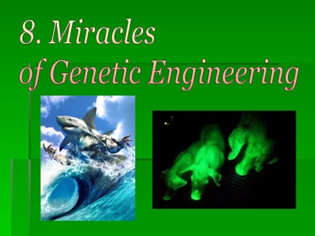 8. Miracles of Genetic Engineering