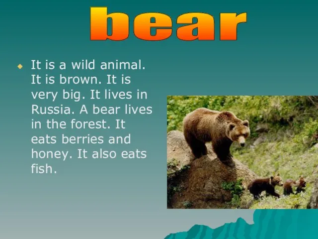 It is a wild animal. It is brown. It is very big.
