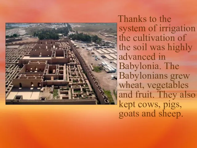 Thanks to the system of irrigation the cultivation of the soil was