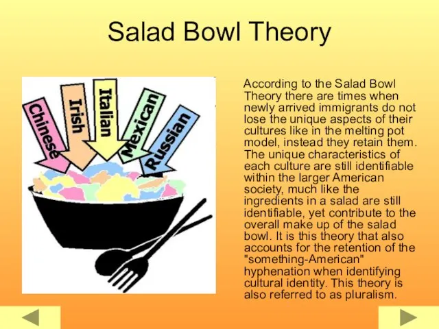 Salad Bowl Theory According to the Salad Bowl Theory there are times