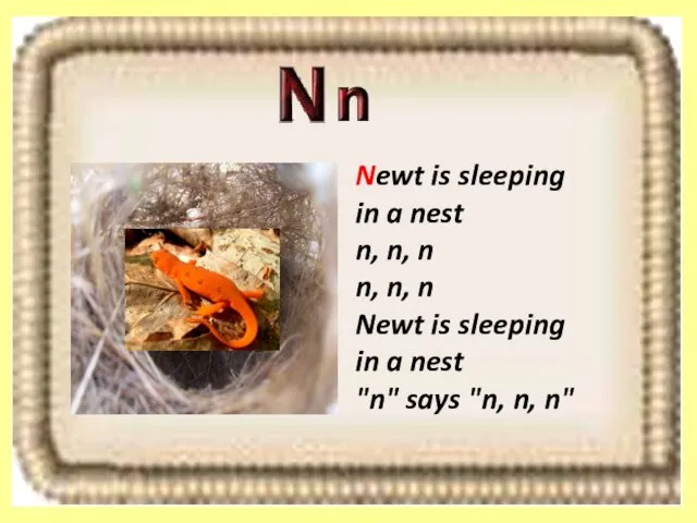 Newt is sleeping in a nest n, n, n n, n, n