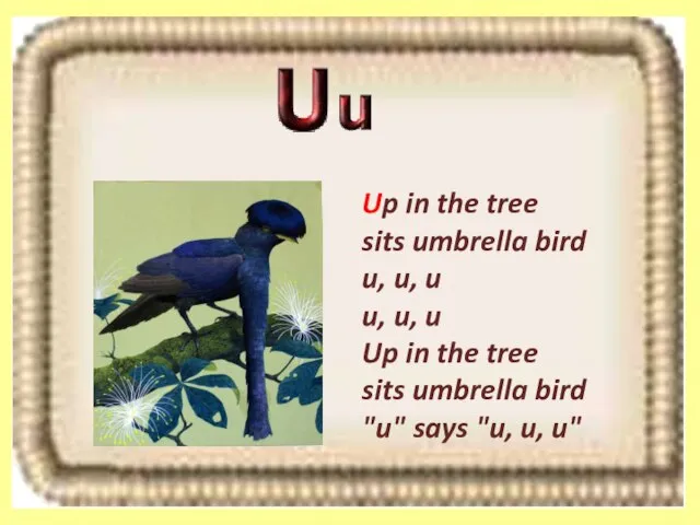 Up in the tree sits umbrella bird u, u, u u, u,
