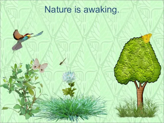 Nature is awaking.