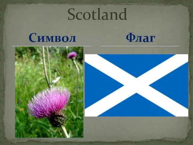 Scotland Символ Флаг