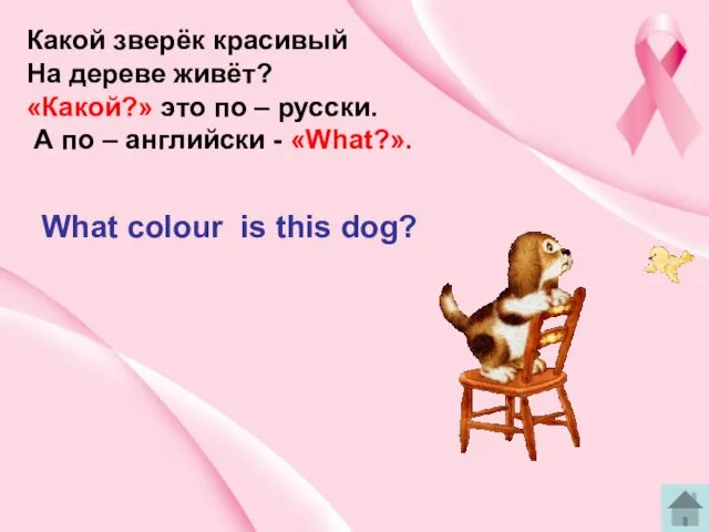 Какой зверёк красивый На дереве живёт? «Какой?» это по – русски. А