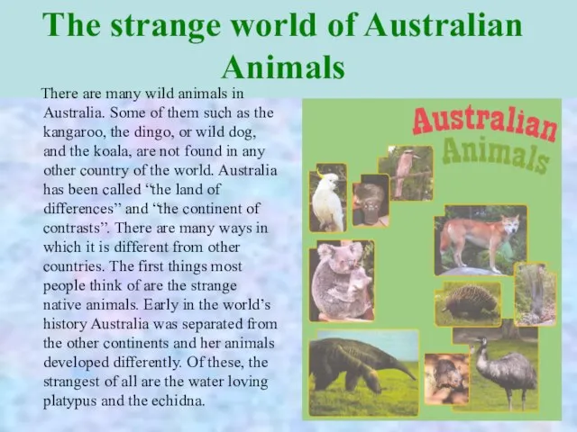 The strange world of Australian Animals There are many wild animals in