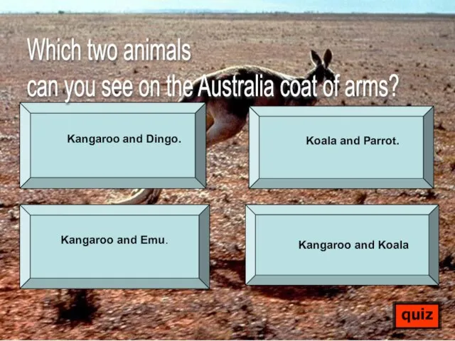 Kangaroo and Dingo. Koala and Parrot. Kangaroo and Emu. Kangaroo and Koala