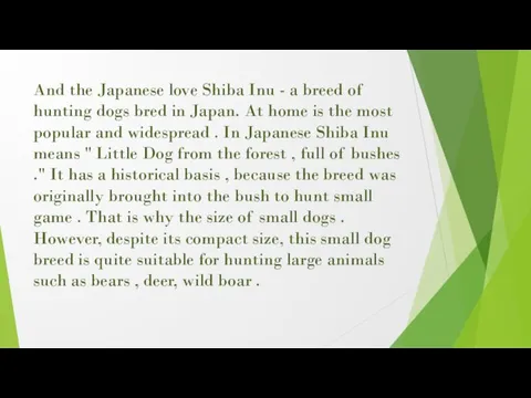 And the Japanese love Shiba Inu - a breed of hunting dogs