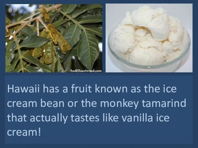 Hawaii has a fruit known as the ice cream bean or the