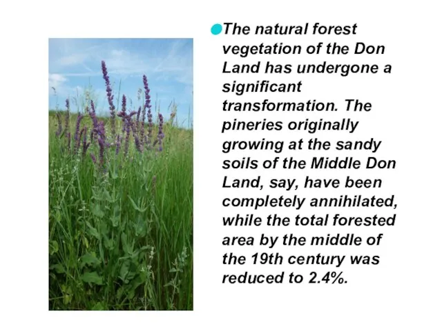 The natural forest vegetation of the Don Land has undergone a significant