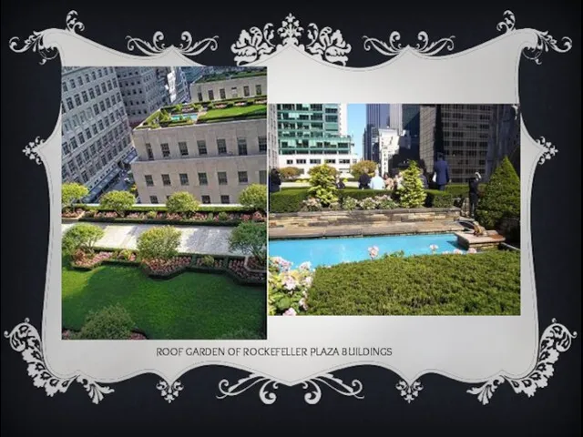 ROOF GARDEN OF ROCKEFELLER PLAZA BUILDINGS