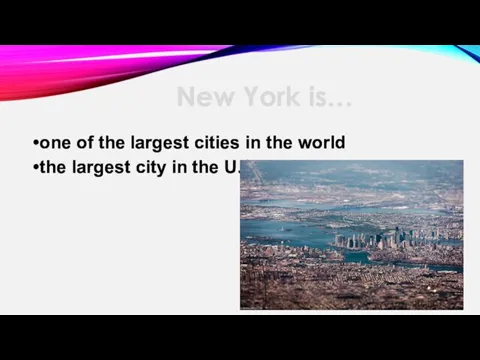 one of the largest cities in the world the largest city in