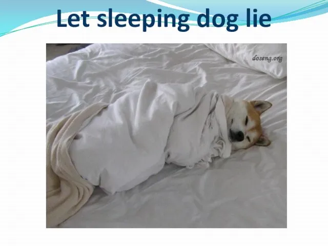 Let sleeping dog lie