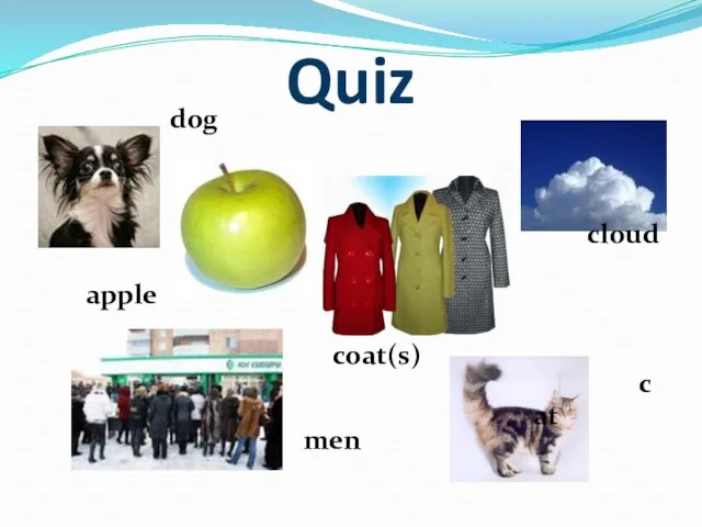 Quiz cat cloud coat(s) apple dog men