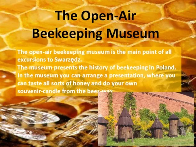 The Open-Air Beekeeping Museum The open-air beekeeping museum is the main point