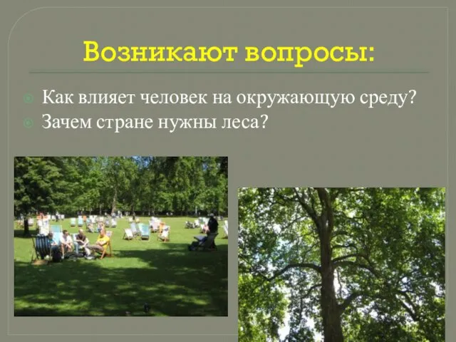 Возникают вопросы: Как влияет человек на окружающую среду? Зачем стране нужны леса?