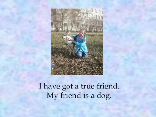I have gоt a true friend. My friend is a dog.