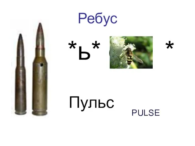 Ребус Пуля *ь* оса * Пульс PULSE