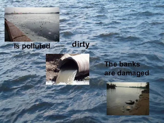 Is polluted The banks are damaged dirty