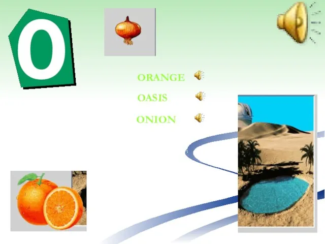 ORANGE OASIS ONION