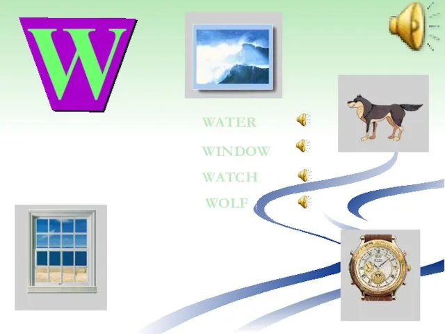 WATCH WINDOW WATER WOLF