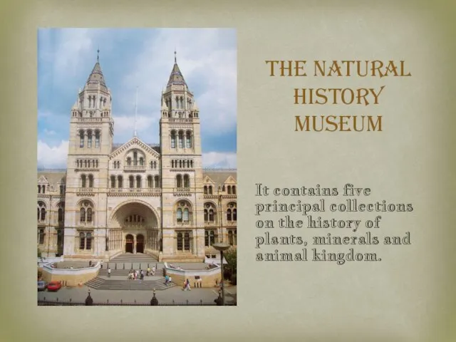 The Natural History Museum It contains five principal collections on the history