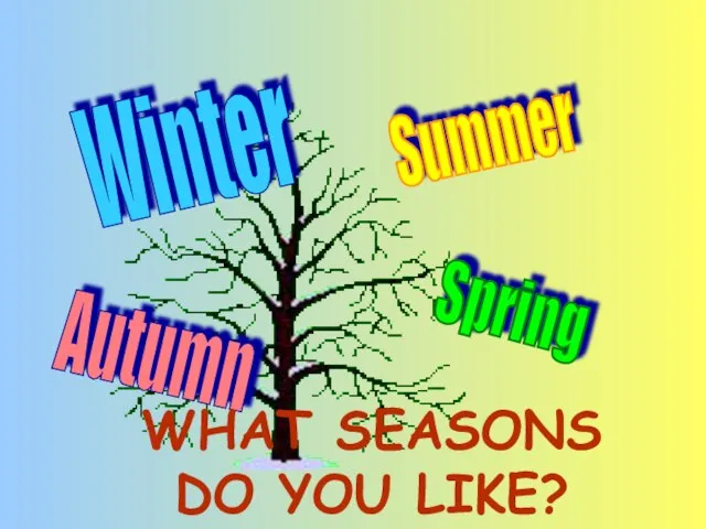 Summer Spring Autumn Winter WHAT SEASONS DO YOU LIKE?