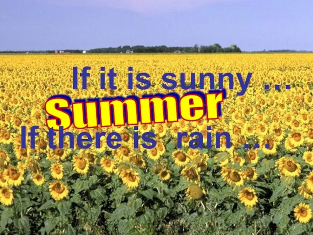 Summer If it is sunny … If there is rain …