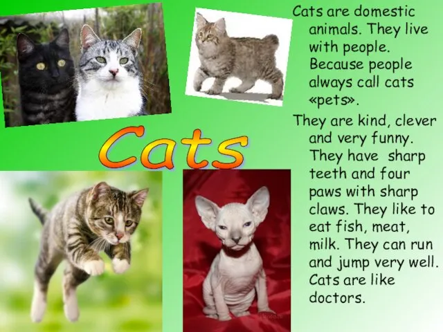 Cats are domestic animals. They live with people. Because people always call