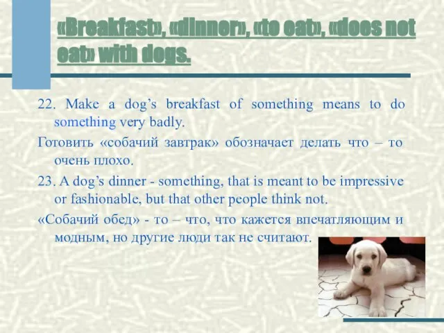 «Breakfast», «dinner», «to eat», «does not eat» with dogs. 22. Make a