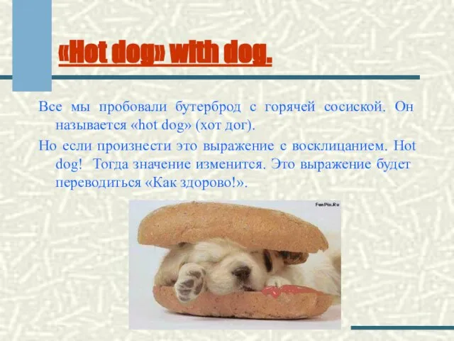 «Hot dog» with dog. Все мы пробовали бутерброд с горячей сосиской. Он