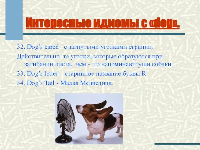 Интересные идиомы с «dog». 32. Dog’s earеd –с загнутыми уголками страниц. Действительно,