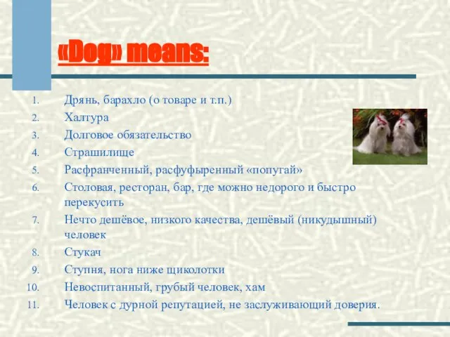 «Dog» means: Дрянь, барахло (о товаре и т.п.) Халтура Долговое обязательство Страшилище