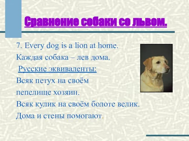 Сравнение собаки со львом. 7. Every dog is a lion at home.
