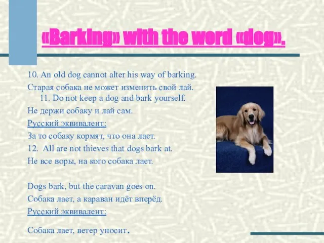 «Barking» with the word «dog». 10. An old dog cannot alter his